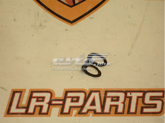 LR025565 Land Rover Vedante (anel) de mangueira de esfriamento de turbina, de fornecimento