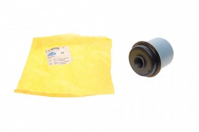 Compre BG2248 Belgum Bloco silencioso de viga traseira (de plataforma veicular)