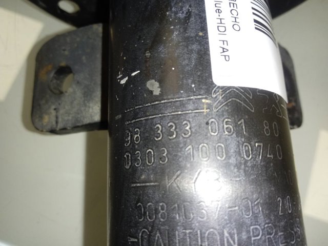 9833306180 Peugeot/Citroen Amortecedor dianteiro