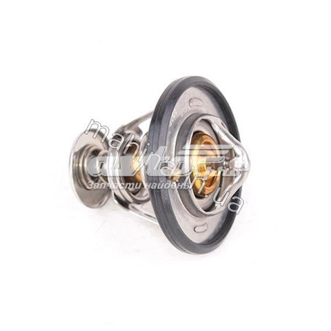 1018020600 BYD Termostato