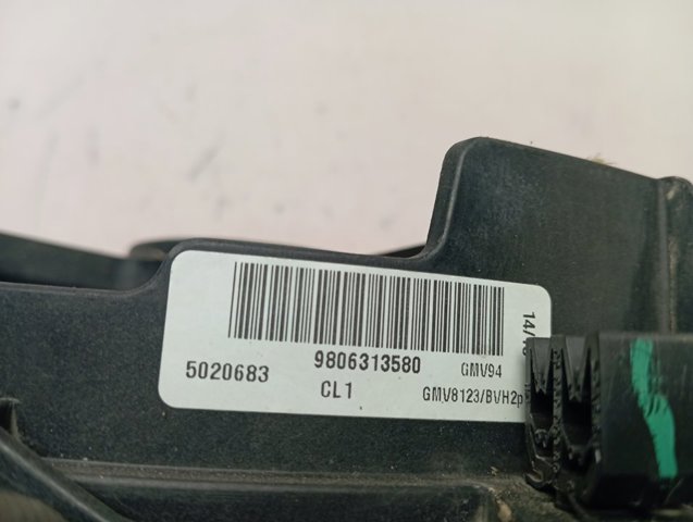 9806313580 Peugeot/Citroen Difusor do radiador de esfriamento, montado com motor e roda de aletas
