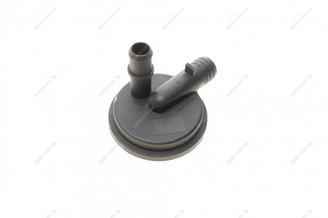 Compre RWS1381 Rotweiss Válvula PCV de ventilação dos gases de cárter