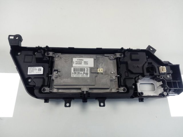  982502938000 Peugeot/Citroen