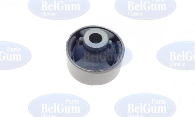 Compre BG0405 Belgum Bloco silencioso dianteiro do braço oscilante inferior