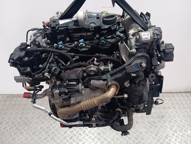 Motor montado XVCC Ford