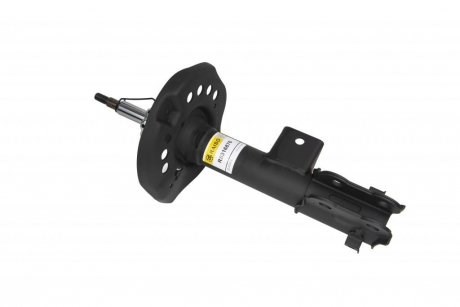RS316876 Raiso Amortecedor dianteiro direito