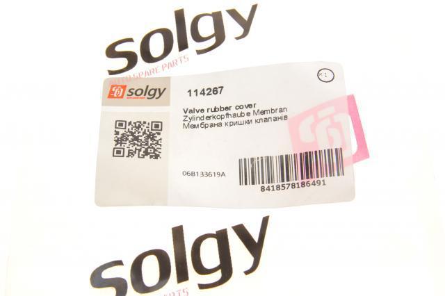 Regulador de mudança do comprimento de tubo coletor de admissão 114267 Solgy