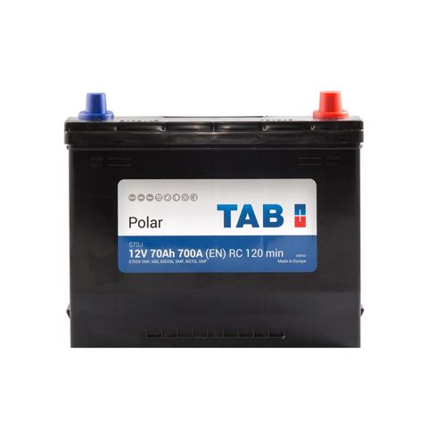 Compre 246870 TAB Bateria recarregável (PILHA)