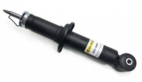 RS170428 Raiso Amortecedor traseiro