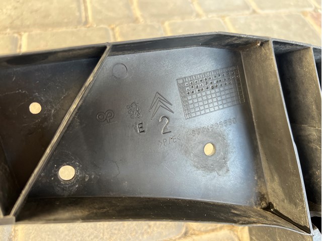 9646895580 Peugeot/Citroen 