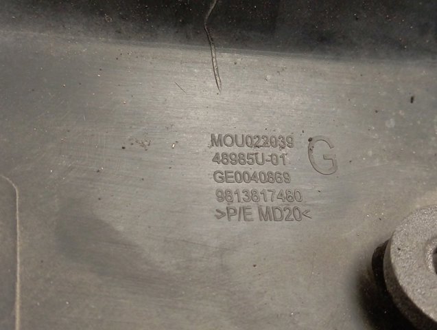 Compre 9813817480 Peugeot/Citroen 