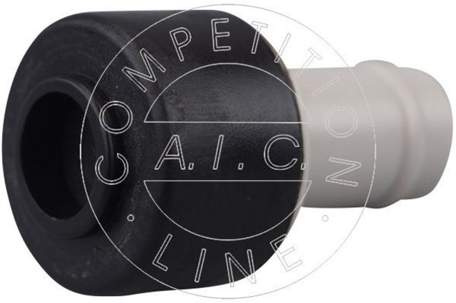  AIC 59755