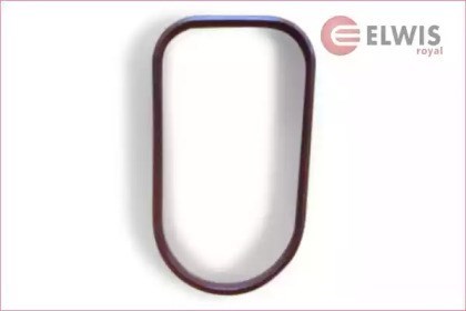 222018 Elwis Royal Vedante de tubo coletor de admissão