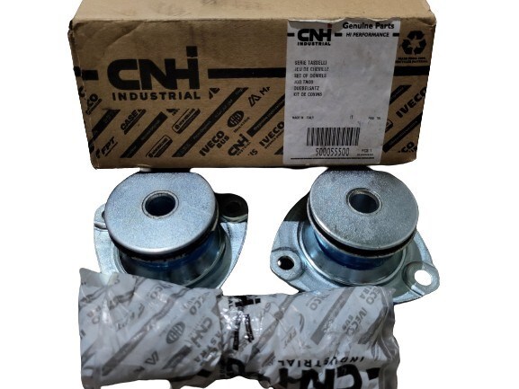 500055500 Iveco Coxim de cabina