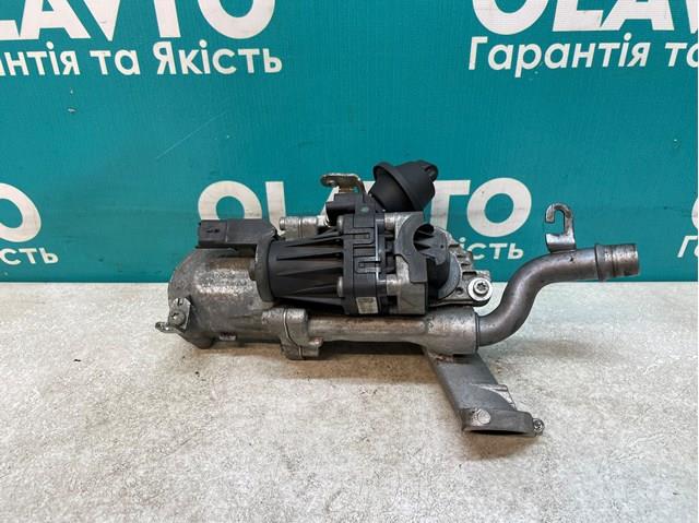 50563902 Peugeot/Citroen Válvula EGR de recirculação dos gases