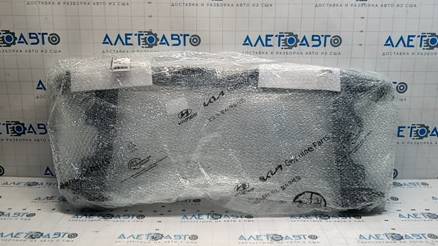 Suporte do radiador montado (painel de montagem de fixação das luzes) 64101AA001 Hyundai/Kia