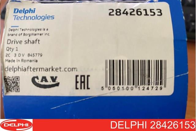 28426153 Delphi 