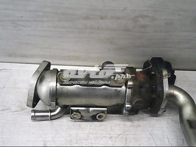 Compre H8200340616 Renault (RVI) 