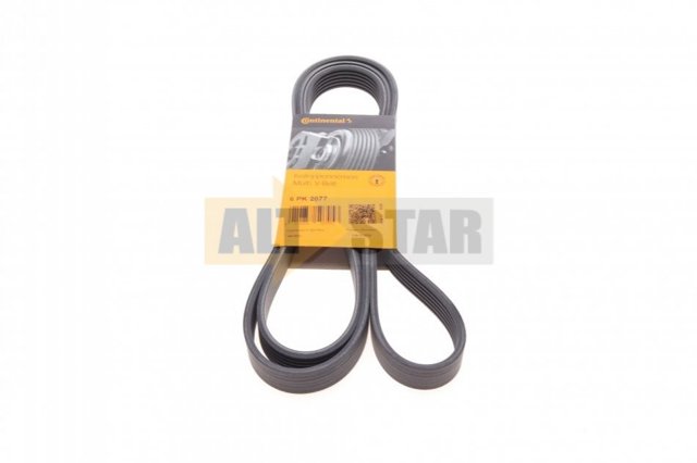 Compre 6PK2077 Continental/Siemens Correia dos conjuntos de transmissão