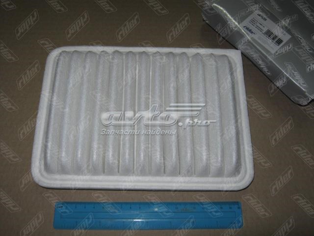 Filtro de ar RD1340WA9627 Rider