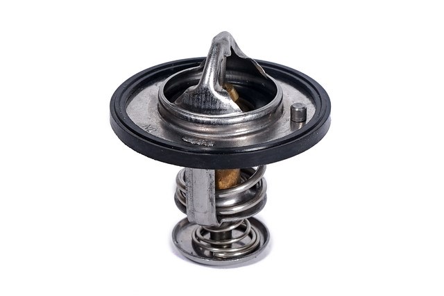 Compre 471Q1306950 BYD Termostato