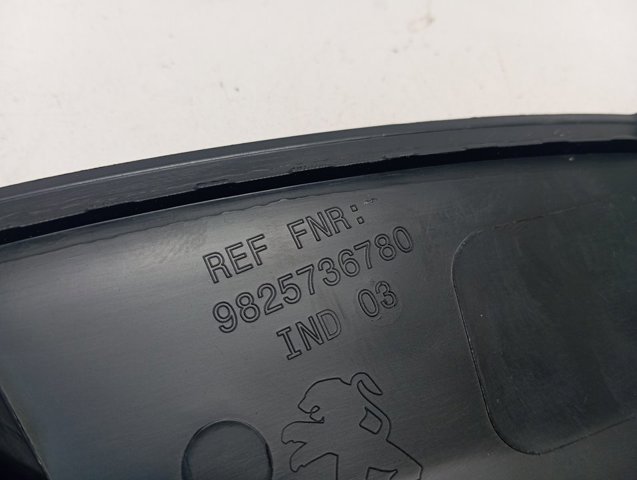 Expansor esquerdo (placa sobreposta) de arco do pára-lama traseiro 98257367XT Peugeot/Citroen