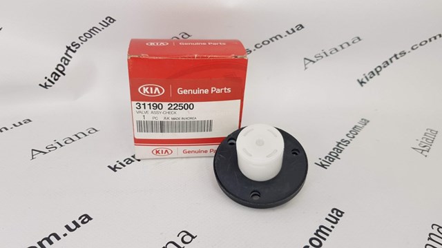 C1116 VALEO Fios de alta voltagem, kit
