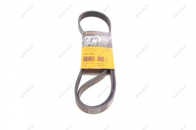 Compre 6PK1244 Continental/Siemens Correia dos conjuntos de transmissão