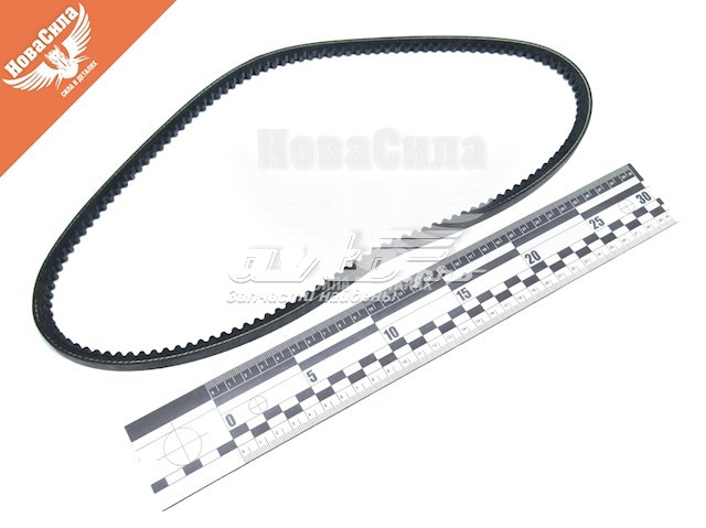 Compre 10A0900C Dayco Correia dos conjuntos de transmissão