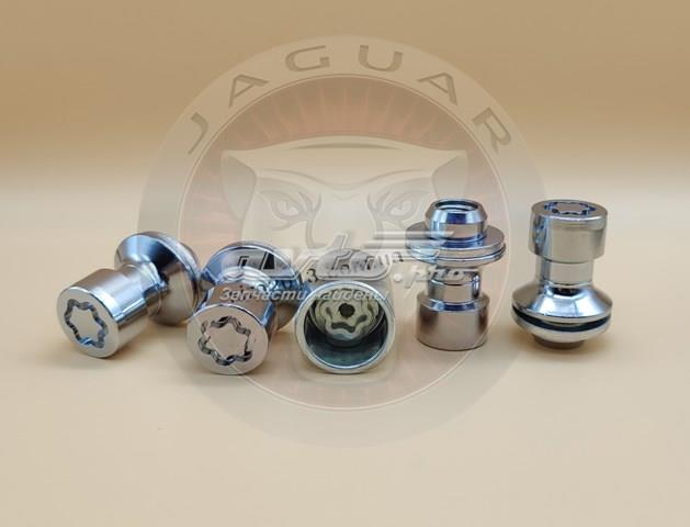 C2D42934 Jaguar 