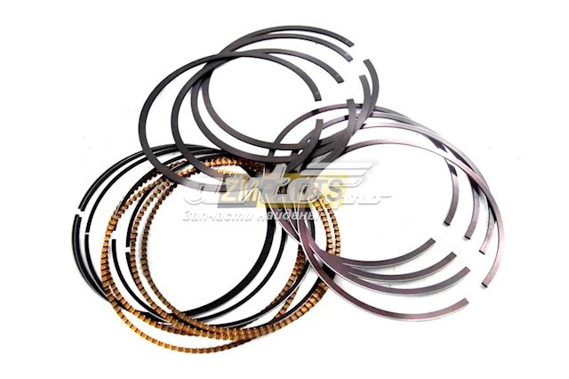42044STD TPR Kit de anéis de pistão de motor, STD.