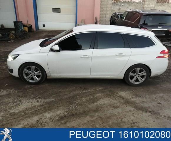 Porta dianteira esquerda Peugeot/Citroen 1610102080