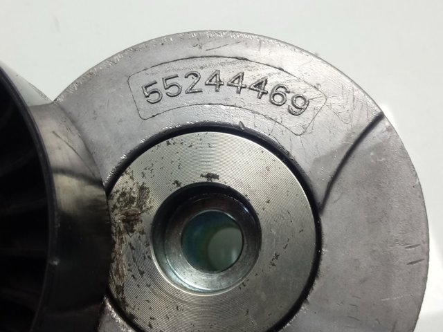 Compre 55244469 Fiat/Alfa/Lancia Reguladora de tensão da correia de transmissão