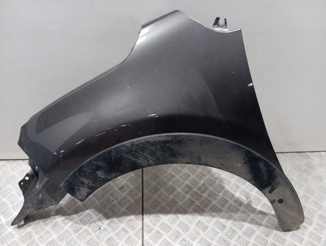 Pára-lama dianteiro esquerdo Peugeot/Citroen 9812869080