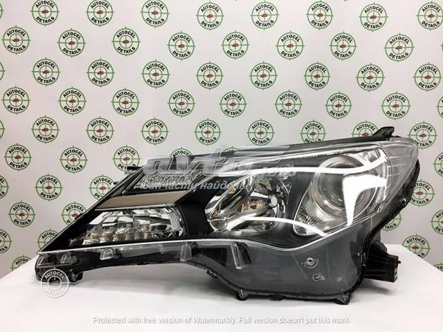 Luz esquerda Toyota 8117042542