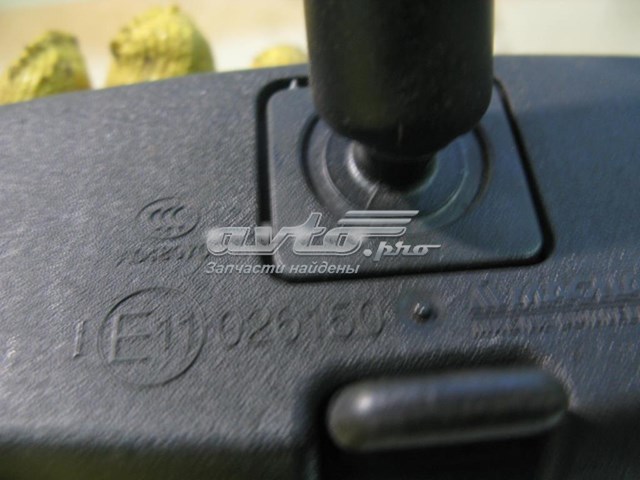 Espelho de salão interno 13503045 General Motors