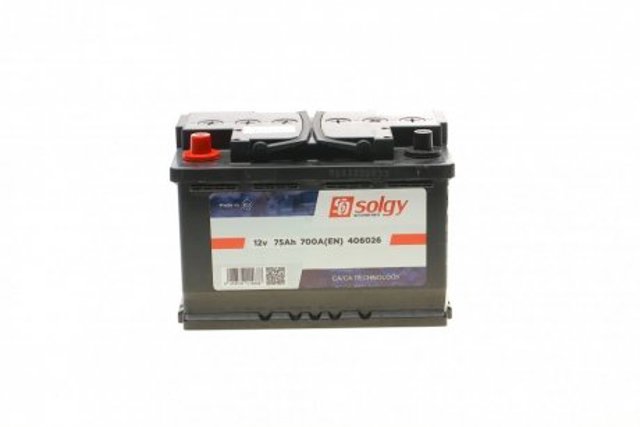 406026 Solgy Bateria recarregável (PILHA)