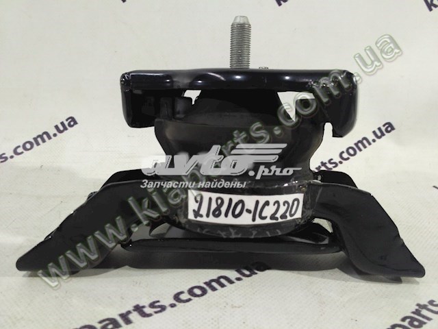 Coxim (suporte) direito de motor 1011AAYAB0 PH