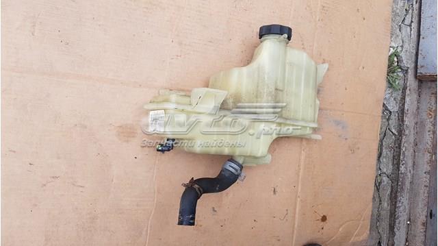  Tanque de expansão do sistema de esfriamento Tesla Model S sedan (5YJS) (2012 - 2016) 