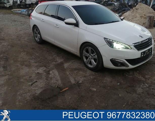 9677832380 Peugeot/Citroen Luz direita