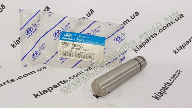 LP0425W30A5B505K Hyundai/Kia Óleo para motor