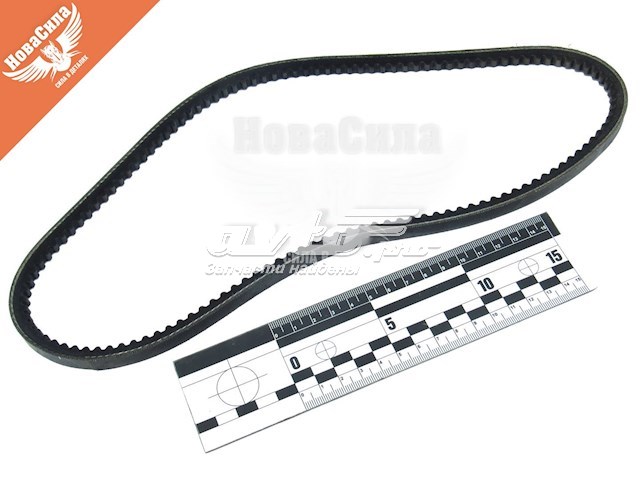 Compre 10A0813C Dayco Correia dos conjuntos de transmissão