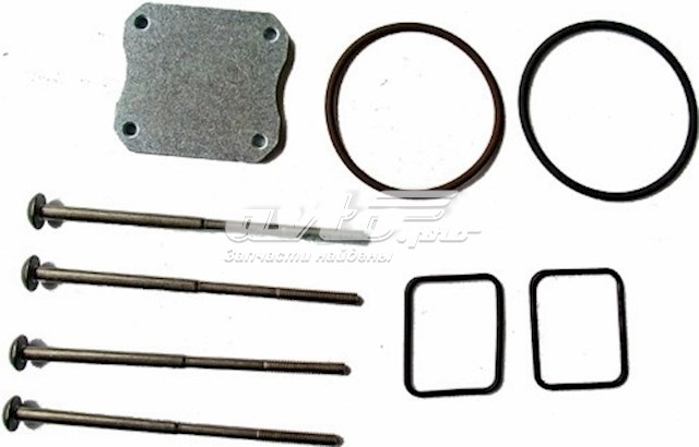 F00HN37069 Bosch Kit de reparação do injetor