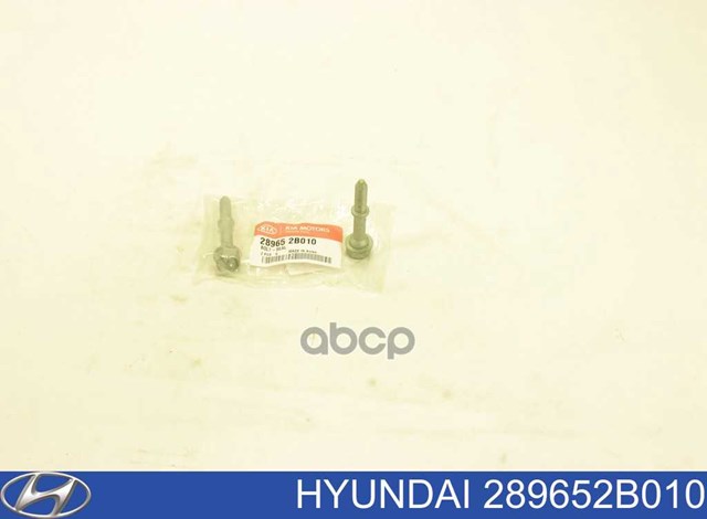 Parafuso do sistema de escape (do silenciador) Hyundai/Kia 289652B010 preço, a partir de  USD
