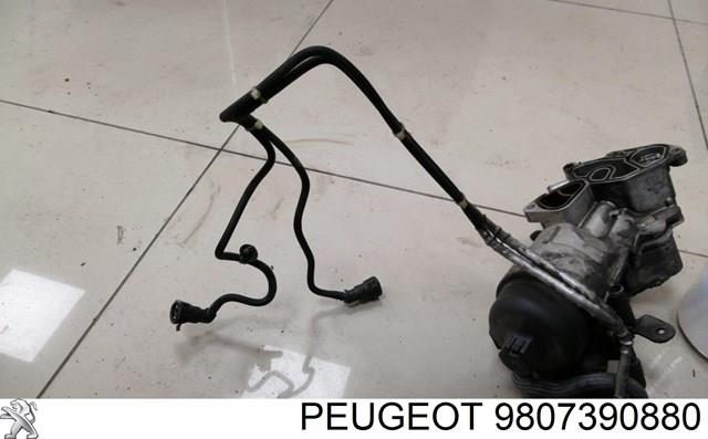 9807390880 Peugeot/Citroen 