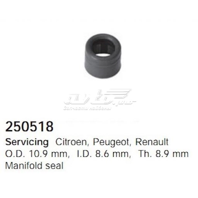 250518 Cargo 