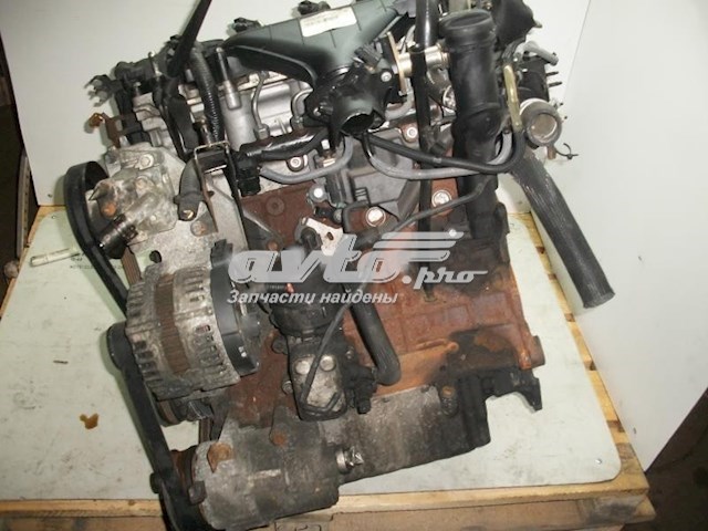 Motor montado QXBA Ford