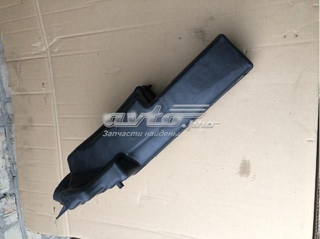  Renault (RVI) 165856598R