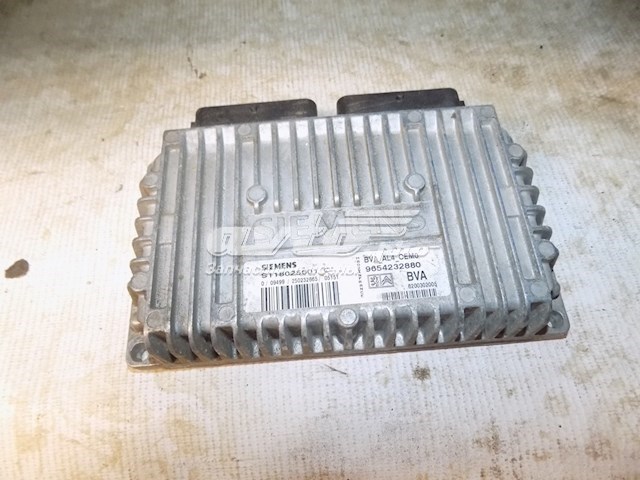 9654232880 Peugeot/Citroen 
