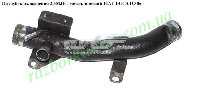 Mangueira (cano derivado) do sistema de esfriamento 504157800 Fiat/Alfa/Lancia